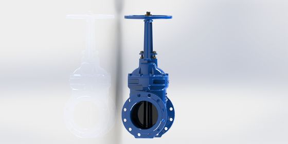 PN16 Valvola di porta d'acqua resistente alla corrosione per il controllo delle tubazioni industriali