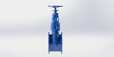 ANSI Valvola di accesso alla porta dell'acqua in acciaio inossidabile resistente alla corrosione per prestazioni durature