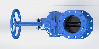 Valvola di porta d'acqua di 2 pollici resistente a basso mantenimento per industriali