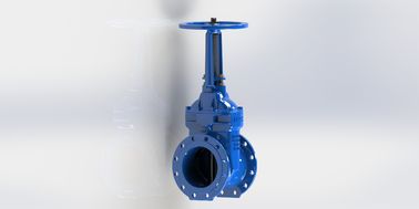 Valvola di porta d'acqua di 2 pollici resistente a basso mantenimento per industriali