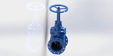 Valvole di porta d'acqua seduta resistente alle acque reflue Parti di ferro duttile disponibili