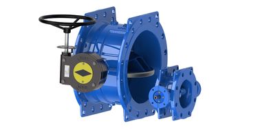 Connessione a flangia doppia eccentrica Valvola farfalla resistente versatile per industria