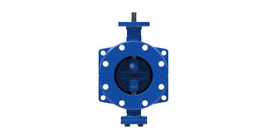 Valvo a farfalla a disco doppio eccentrico in acciaio inossidabile per la connessione a flange e applicazioni pesanti