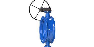 Connessione a flangia doppia eccentrica Valvola farfalla resistente versatile per industria