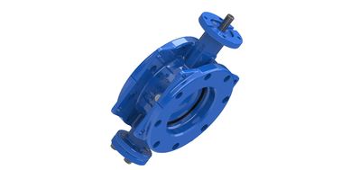 Valvo a farfalla a disco doppio eccentrico in acciaio inossidabile per la connessione a flange e applicazioni pesanti