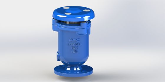 Ghisa Duttile Valvola Combinata di Sfiato Aria con Galleggiante in Acciaio Inox e Guarnizione a Sede Elastica per Sistemi Fluidi