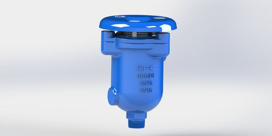 Valvola combinata di sfiato aria con galleggiante in acciaio inossidabile e connessione a flangia filettata per sistemi di pressione PN10-16-25