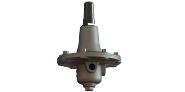 Acciaio inossidabile 304 Accessori di valvola di controllo Controllo del flusso pilota ISO 9001